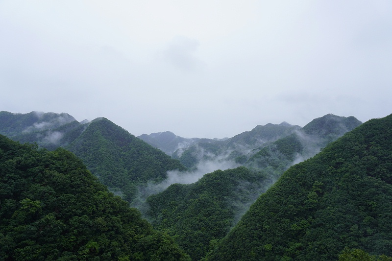 河南太阳城申博团建风景图